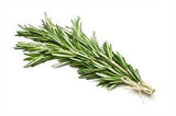Rosemary Essential Oil 1oz